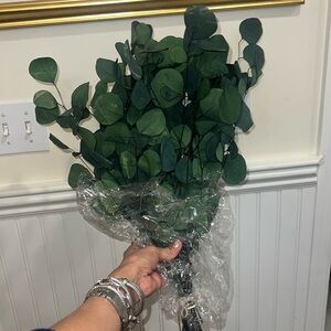 Threshold dried Eucalyptus 🪴 🍒🍒